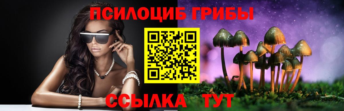Галлюциногенные грибы мицелий  Вход с VPN  Малоярославец 